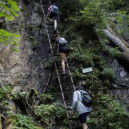 Hostel Hikers Paradise High Tatras *
