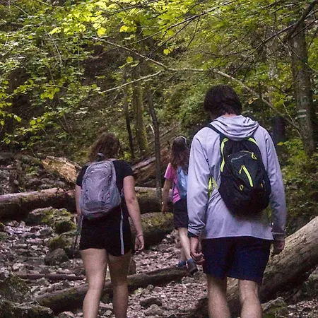 Hostel Hikers Paradise High Tatras Strba
